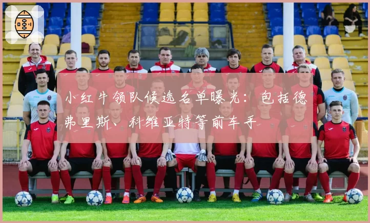 小红牛领队候选名单曝光：包括德弗里斯、科维亚特等前车手