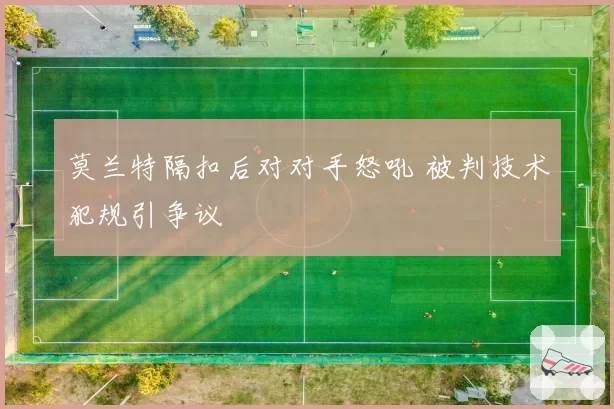 莫兰特隔扣后对对手怒吼 被判技术犯规引争议