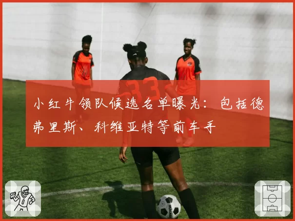小红牛领队候选名单曝光：包括德弗里斯、科维亚特等前车手
